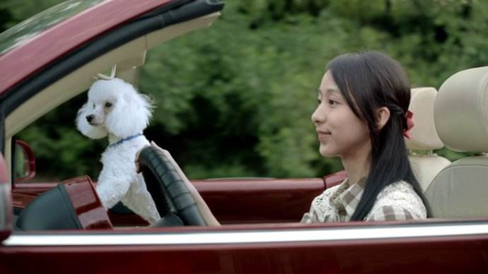 1分鐘了解TVC廣告片