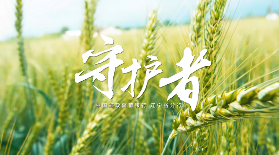 《守護者》——郵儲銀行遼寧省分行2023年三農宣傳片