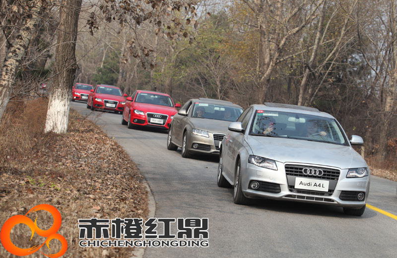 奧迪東北區活動