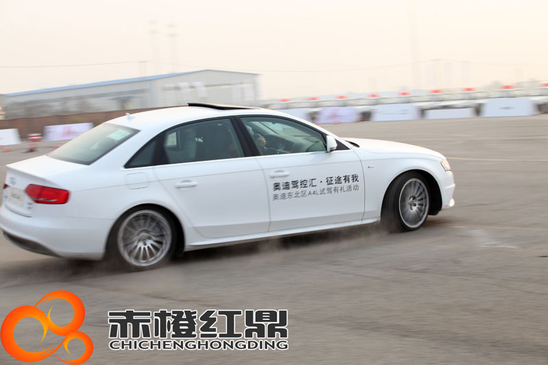 奧迪東北區活動