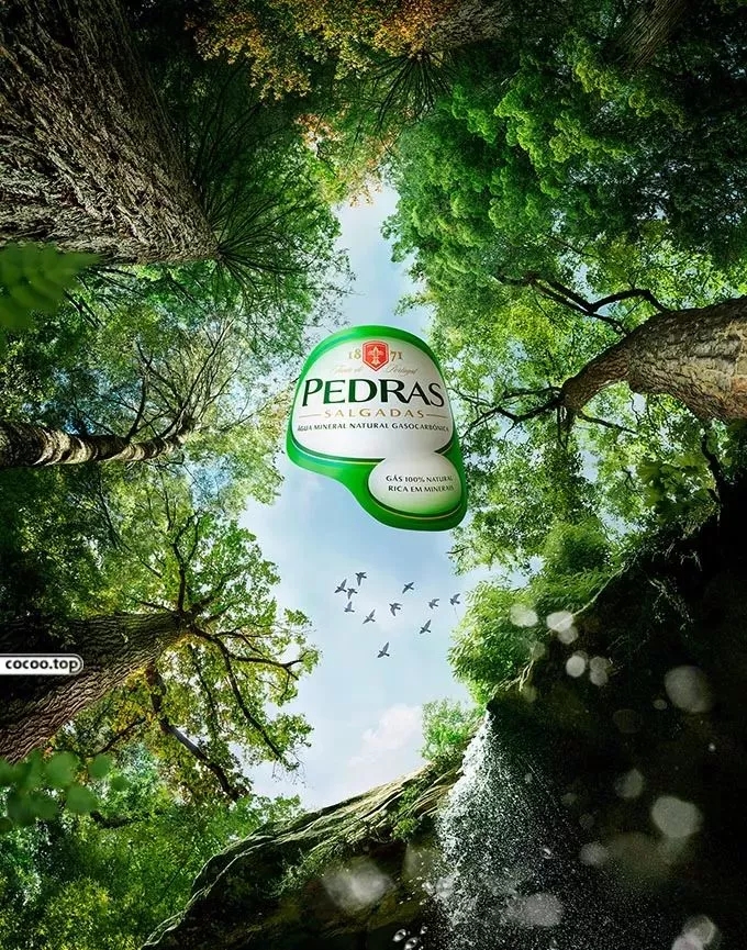 1544579133339865.jpg 640.webp (1).jpg